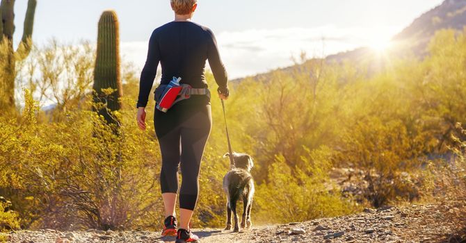 How a Neck and Back Pain Chiropractor Can Help You Find Lasting Relief in Lynnwood